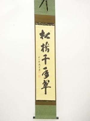 前大徳　藤井誡堂筆　「松樹千年翠」　一行書　紙本肉筆掛軸